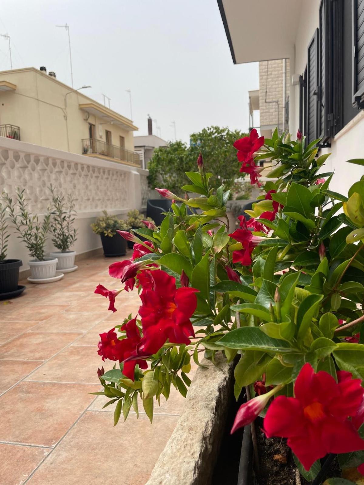 Villa Rosa Dei Venti Polignano a Mare Exterior foto